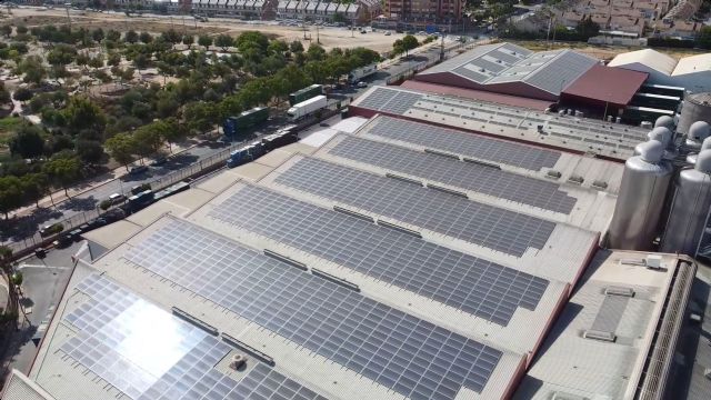 Estrella de Levante genera la energía necesaria para un mes de producción con su planta fotovoltaica de autoconsumo - 1, Foto 1