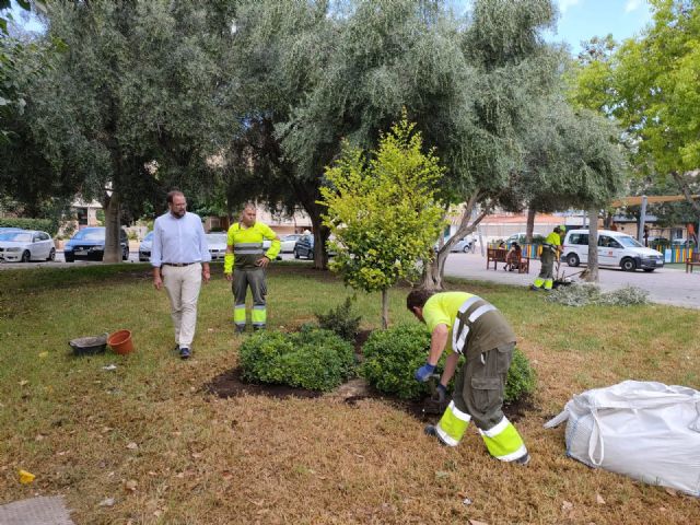 El Ayuntamiento de Murcia intensifica la campaña de reposición de arbolado - 1, Foto 1