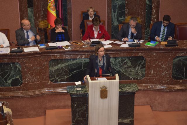 El PP solicita la creación de una comisión para abordar el envejecimiento de las personas con discapacidad intelectual - 1, Foto 1