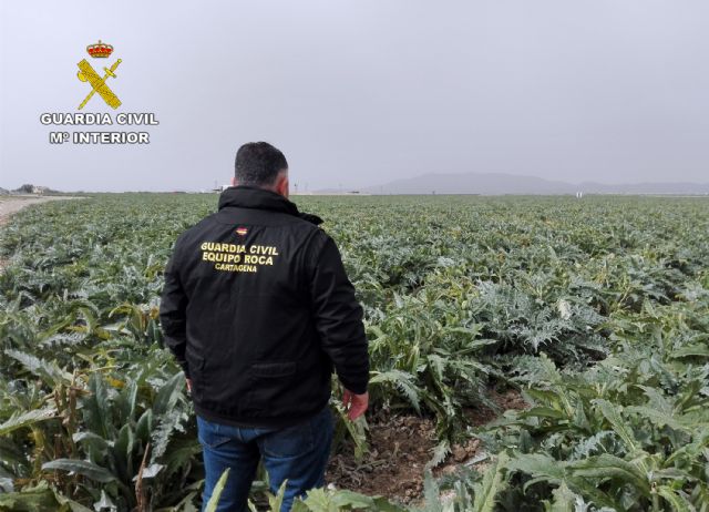 La Guardia Civil desmantela un grupo delictivo dedicado a sustraer productos del campo en Balsapintada - 1, Foto 1