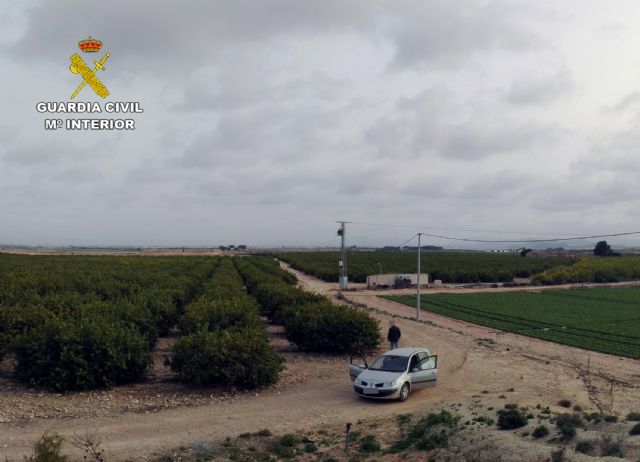 La Guardia Civil desmantela un grupo delictivo dedicado a sustraer productos del campo en Balsapintada - 3, Foto 3