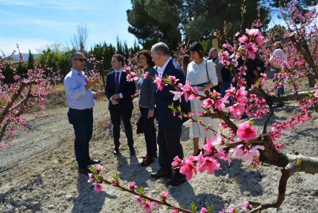 La FMRM constituye la Comisión de Empleo, Turismo y Desarrollo local en Cieza acercándose y abriéndose a los municipios - 2, Foto 2