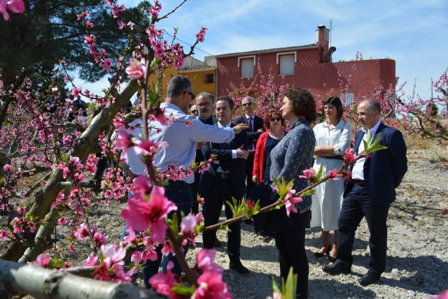 La FMRM constituye la Comisión de Empleo, Turismo y Desarrollo local en Cieza acercándose y abriéndose a los municipios - 3, Foto 3