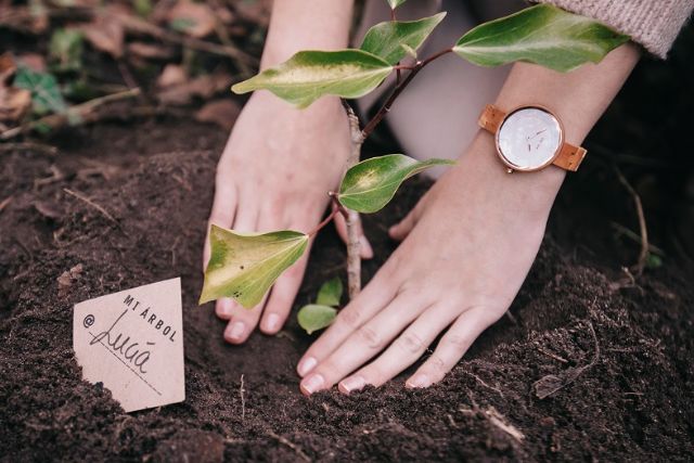 La startup española de moda sostenible ´ONE OAK´ busca inversores para reforestar bosques en toda Europa - 2, Foto 2