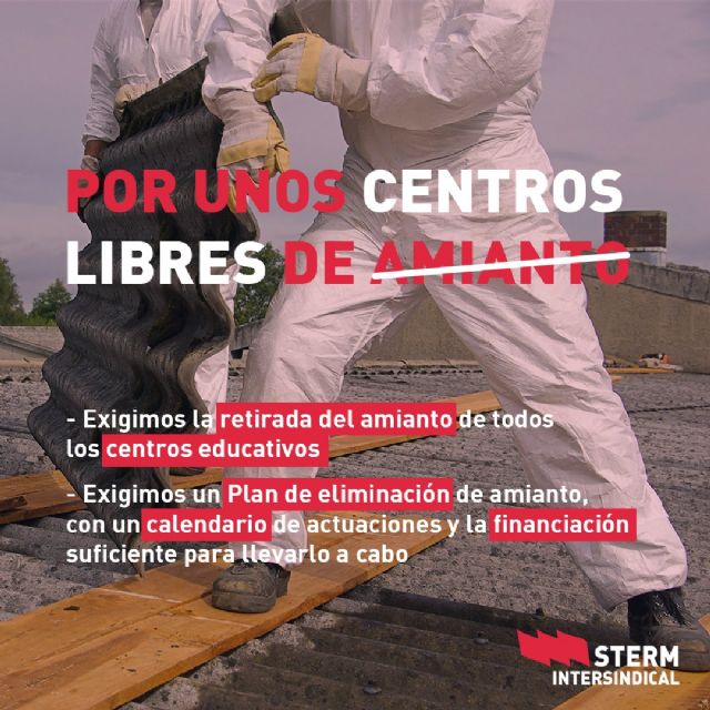 STERM INTERSINDICAL inicia una campaña por unos centros educativos libres de amianto - 1, Foto 1