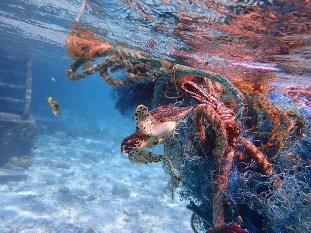 La tecnológica Satlink pone en marcha un proyecto para retirar y reutilizar redes de pesca abandonadas en el archipiélago de las Maldivas - 1, Foto 1