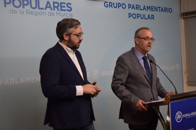 Domingo Segado: Tovar miente, solo el PP ha pedido la comparecencia del presidente en la Asamblea - 1, Foto 1