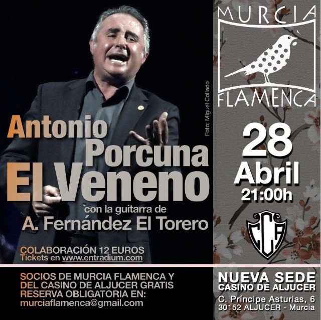 Antonio Porcuna ‘El Veneno’ en Murcia Flamenca - 1, Foto 1