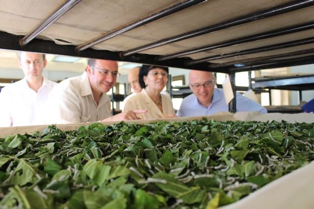 La Región de Murcia continuará colaborando en investigación agroalimentaria con el Instituto Nacional de Ciencias Agrícolas cubano - 1, Foto 1