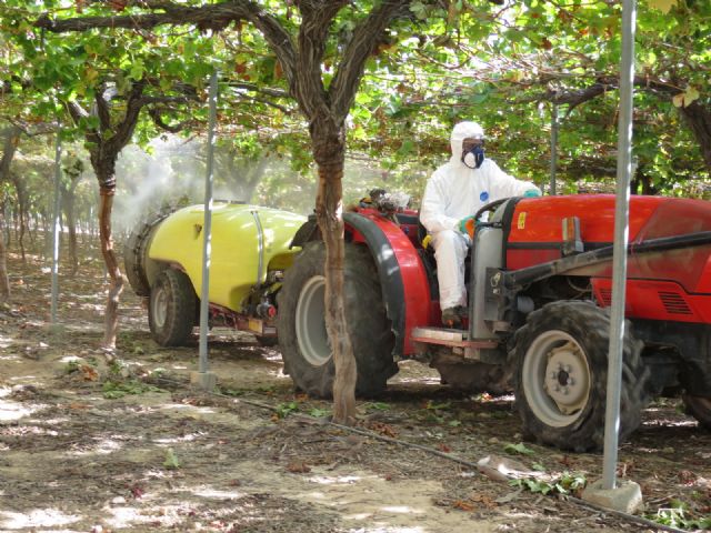 Agricultura garantiza el uso seguro de los productos fitosanitarios en la Región - 1, Foto 1