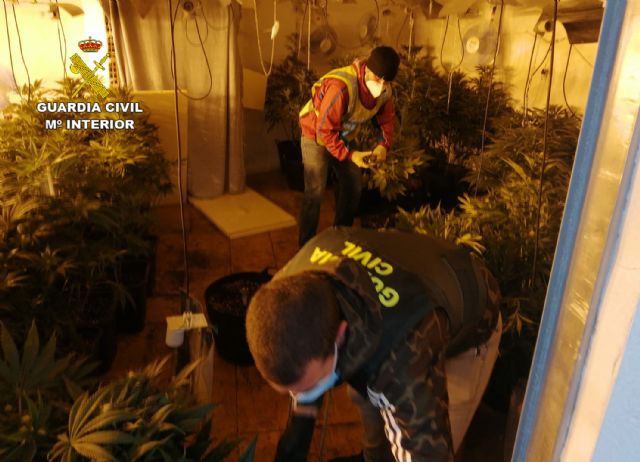 La Guardia Civil desmantela una organización criminal con la detención 14 personas por tráfico de droga en San Javier y en San Pedro del Pinatar - 3, Foto 3