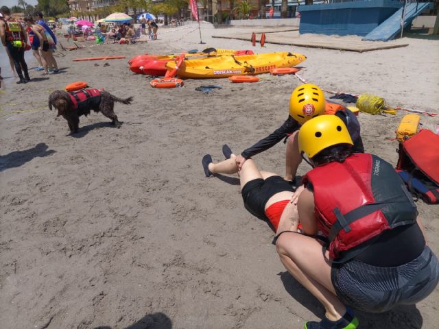 Alumnos de la UCAM realizan un simulacro de rescate acuático con perros - 1, Foto 1