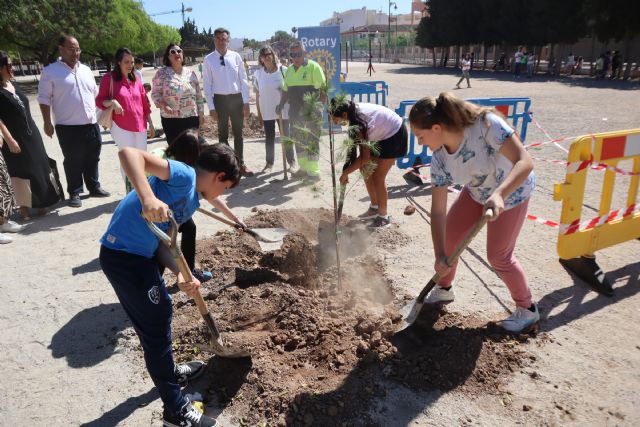 Rotary colabora con la plantación de pinos en centros escolares de San Pedro del Pinatar - 1, Foto 1