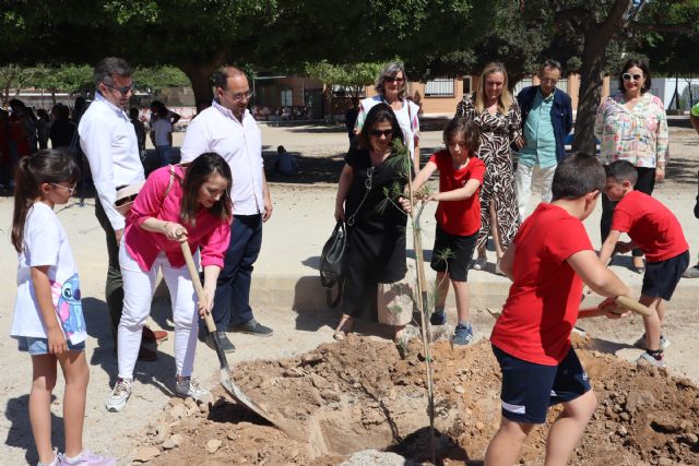 Rotary colabora con la plantación de pinos en centros escolares de San Pedro del Pinatar - 3, Foto 3