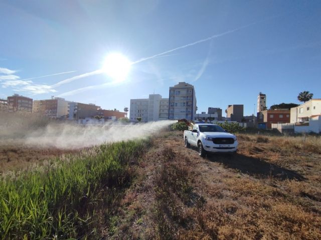 Última tecnología y concienciación ciudadana: las claves para combatir al mosquito tigre - 2, Foto 2