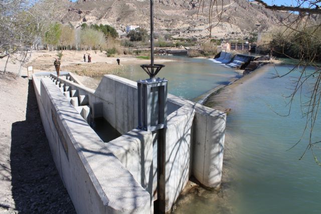 La CHS explica los avances en la restauración del río Segura en el VI Congreso Ibérico de Ictiología - 1, Foto 1