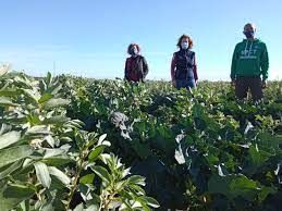 Jornada uso de biofertilizantes y manejo de la biodiversidad para mejorar la sostebibilidad de los sistemas hortícolas - 1, Foto 1