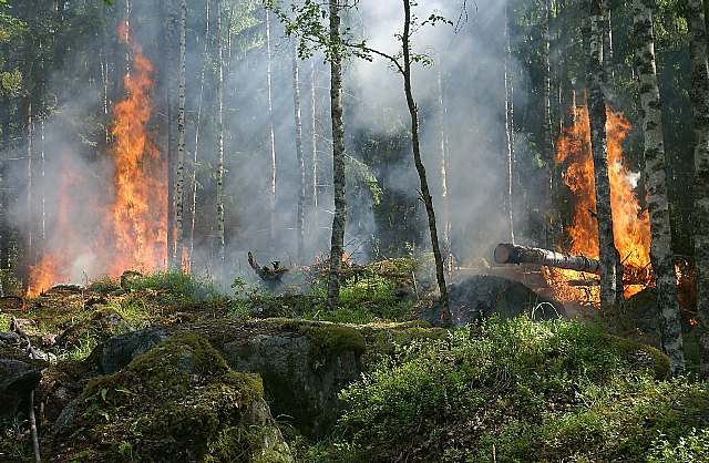 Agroseguro recuerda que los daños provocados por los incendios en el campo están cubiertos por el seguro agrario - 1, Foto 1