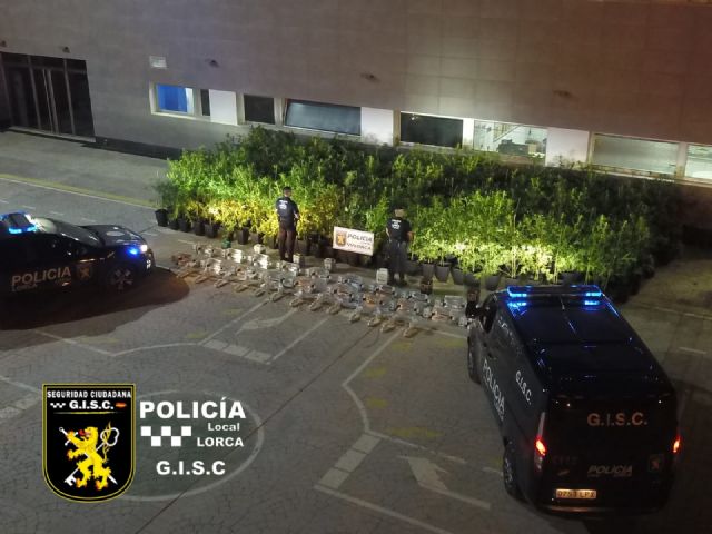 La Policía Local desmantela un cultivo de más de 300 plantas de marihuana en una vivienda de la pedanía de Marchena - 1, Foto 1