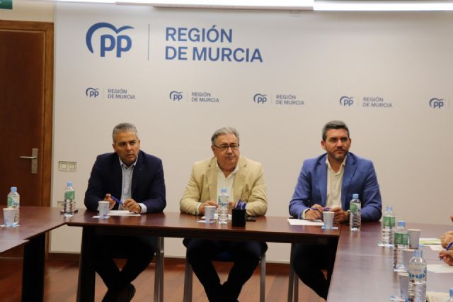 El PPRM y el Grupo Parlamentario Popular en el Parlamento Europeo piden la retirada de la Ley de Restauración de la Naturaleza a causa de los perjuicios que tiene para los agricultores - 1, Foto 1