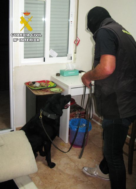 La Guardia Civil desarticula un activo punto de venta de drogas en Águilas - 2, Foto 2