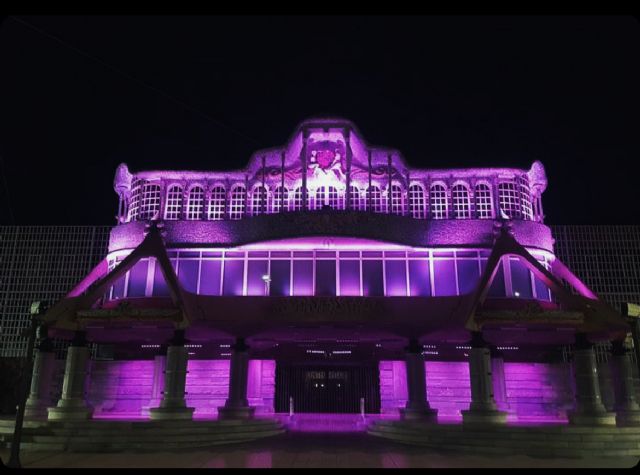 La Asamblea Regional se iluminará de morado con motivo del Día Internacional del Síndrome de Dravet - 1, Foto 1