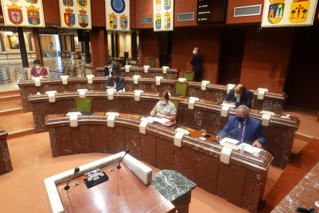 La Asamblea concluye el primer año legislativo con un pleno extraordinario también protagonizado por la Covid-19 - 1, Foto 1