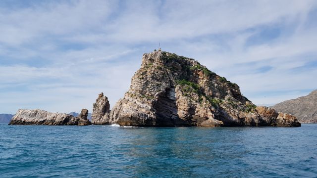 Seis años de cooperación investigadora sobre biodiversidad y gestión ambiental en el Puerto de Cartagena - 1, Foto 1