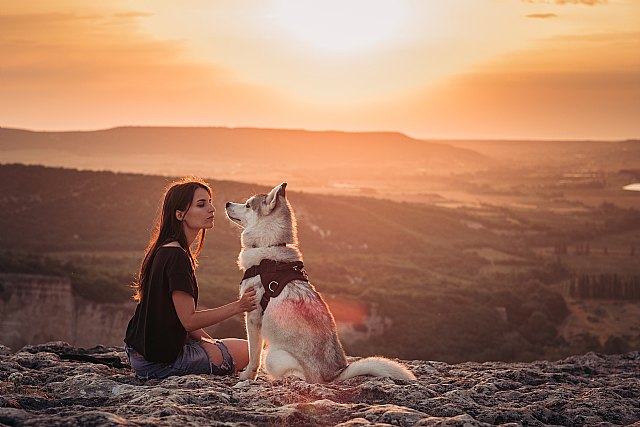 La conexión entre perros y humanos: un soporte terapéutico clave que debe seguir fomentándose y protegiéndose - 1, Foto 1