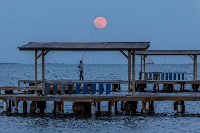 Medio Ambiente y la Estación Náutica Mar Menor premian las tres mejores fotografías sobre la laguna - 4, Foto 4