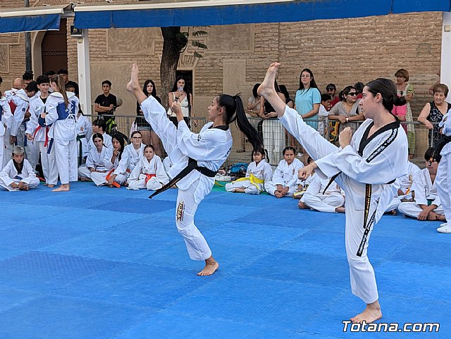 El Club Taekwondo Totana comienza la temporada 2024-2025 en septiembre, Foto 2