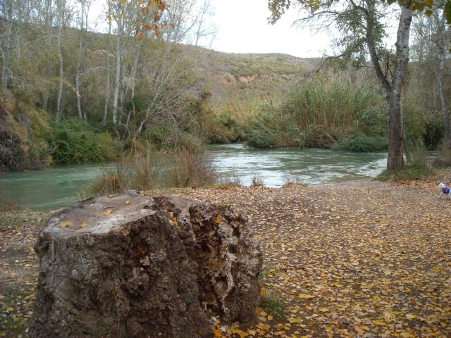 Organizan una jornada para conocer y recuperar el bosque de ribera en la reserva de Cañaverosa - 1, Foto 1