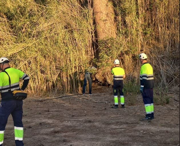 Riego de emergencia para salvar los pinos centenarios de Churra - 5, Foto 5