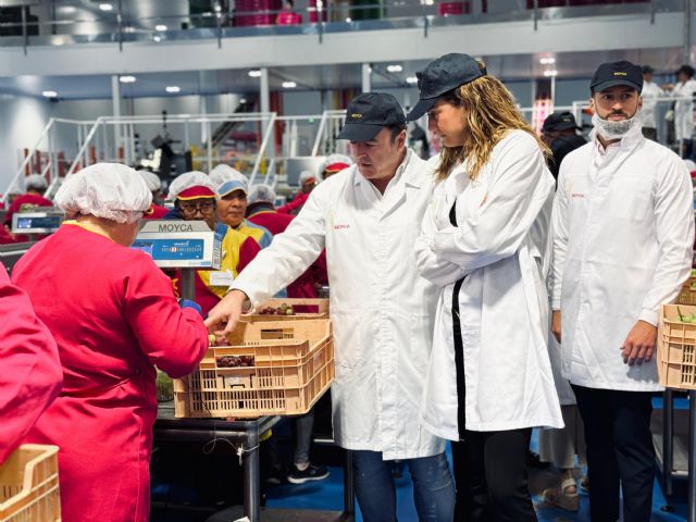 Patricia Fernández visita las instalaciones de Moyca, en Archena, empresa especializada en uva de mesa sin semillas - 2, Foto 2