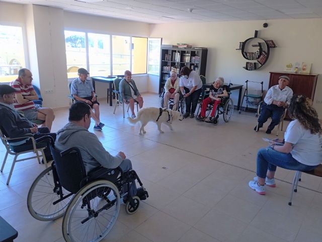 Seniors tarifa inicia el programa de terapia asistida con perros - 1, Foto 1