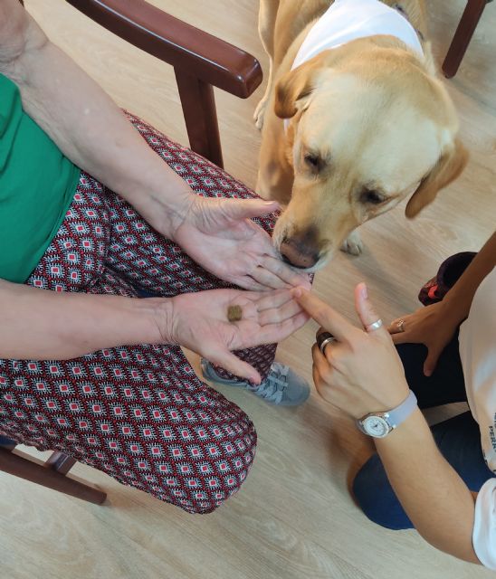 Seniors tarifa inicia el programa de terapia asistida con perros - 2, Foto 2