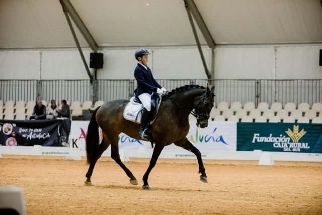 El cartagenero Alejandro Navarro, campeón del mundo de Doma Clásica PRE - 2, Foto 2