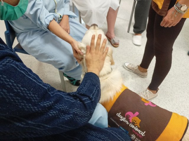 Purina inicia un programa de terapias asistidas con animales, para pacientes de la Unidad de Psiquiatría del Hospital Universitario del Henares - 1, Foto 1