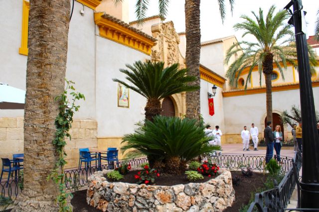 El Ayuntamiento de Lorca informa de un tratamiento contra la cochinilla en cycas y naranjos en distintas zonas de la ciudad - 1, Foto 1