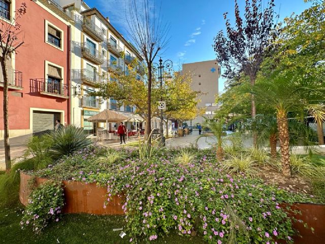 El Ayuntamiento de Lorca informa de un tratamiento contra la cochinilla en cycas y naranjos en distintas zonas de la ciudad - 2, Foto 2