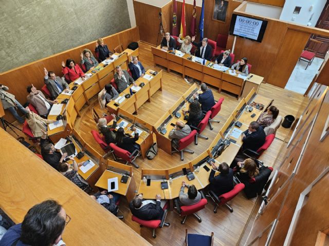 El Pleno de Lorca rechaza la Ley de Amnistía y defiende el Estado de Derecho - 1, Foto 1