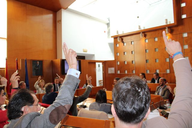 El Pleno de Lorca rechaza la Ley de Amnistía y defiende el Estado de Derecho - 2, Foto 2