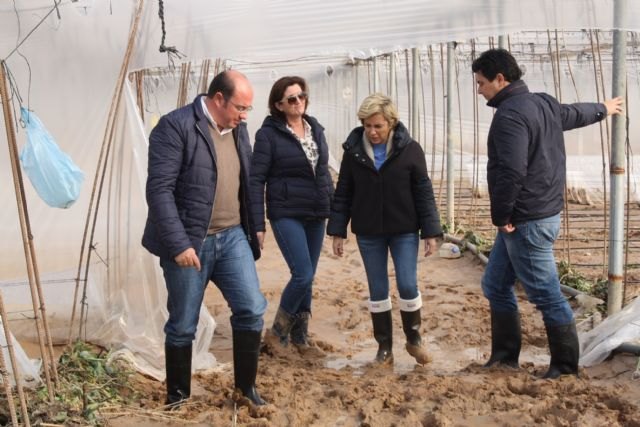 Pedro Antonio Sánchez: Los daños provocados por las lluvias son un problema de todos y no vamos a dejar solos a nuestros agricultores - 1, Foto 1