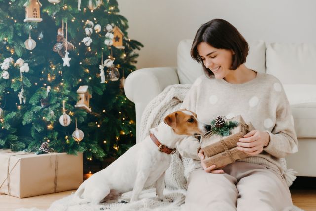 El 70% de los españoles con mascota celebra la Navidad con sus perros y gatos - 3, Foto 3