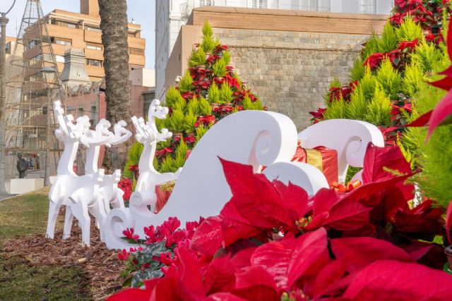 MXs de 30.000 plantas engalanan Cartagena durante las fiestas navideñas - 1, Foto 1