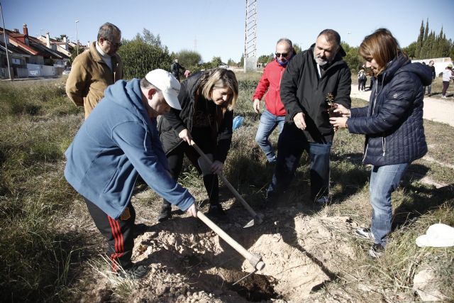 La Vaguada se hace más verde con la plantación de 200 árboles en la avenida del Descubrimiento de América, que conectará con Bosque Romano - 1, Foto 1