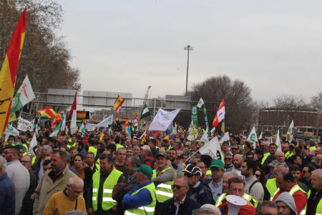 Unión de Uniones felicita a los agricultores por su participación en la tractorada de este miércoles y agradece a los madrileños su comprensión y apoyo - 1, Foto 1