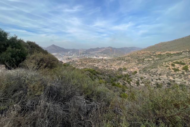 Autorizado el rececho nocturno de jabalíes cerdalíes este viernes en Calblanque, Lo Poyo, El Carmolí y Escombreras - 1, Foto 1