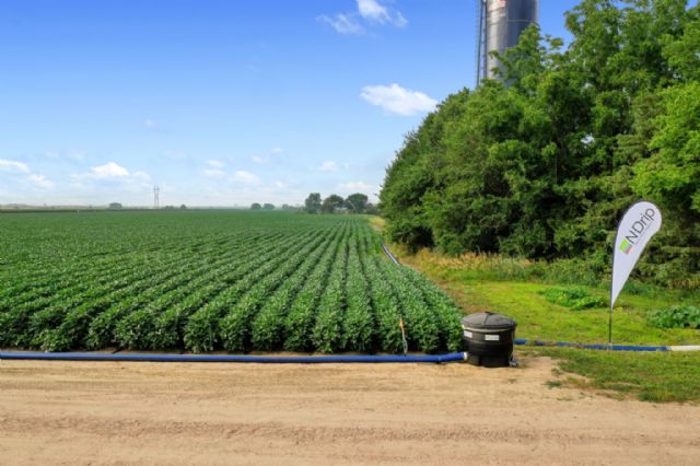 PepsiCo avanza en eficiencia hídrica con un nuevo sistema de riego por goteo de alta eficiencia para agricultores de todo el mundo - 1, Foto 1