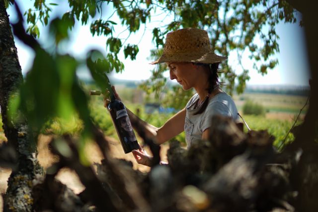 Matsu da la bienvenida a La Jefa, su primer vino blanco - 1, Foto 1